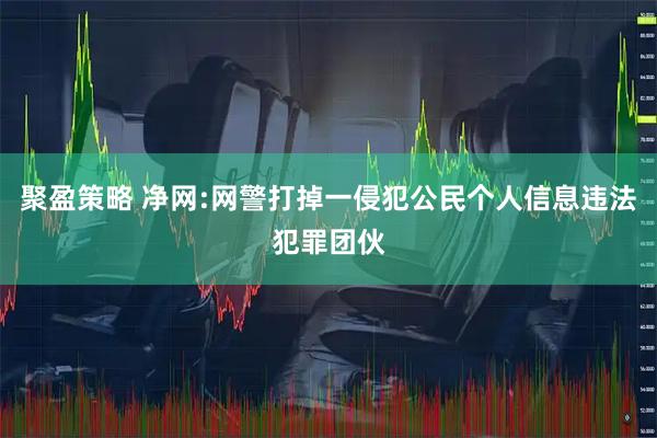 聚盈策略 净网:网警打掉一侵犯公民个人信息违法犯罪团伙
